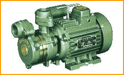 Suguna Domestic Monoblock Pumps